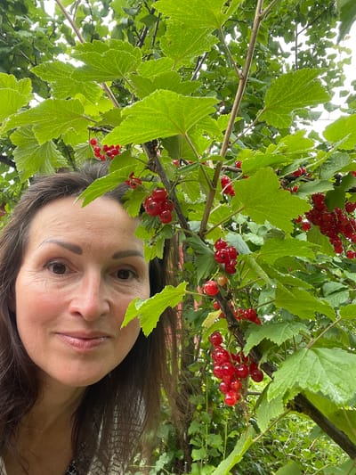 A woman with dark brown hair and fair skin is partially visible in the foreground, looking directly at the camera. She is positioned on the left side of the frame, with the right side of her face and chest visible. Her eyes are brown, and she is smiling.

The background is dominated by a red currant bush, with vibrant green leaves and clusters of bright red berries. The bush is dense, with branches and foliage filling much of the frame. The lighting suggests an outdoor setting, possibly in a garden or natural environment.

The image was taken in Дресвяново, Russia, likely in an outdoor setting such as a garden or yard, given the presence of the red currant bush.