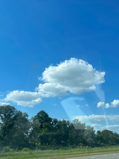 The image depicts a rural landscape under a bright blue sky dotted with fluffy white clouds. A line of trees forms a dense border along the horizon, with lush green grass and vegetation in the foreground. A paved road with white lines runs along the bottom right edge of the frame, suggesting a highway or rural road. There are no people or animals visible in the scene. The overall impression is one of a peaceful, natural setting.