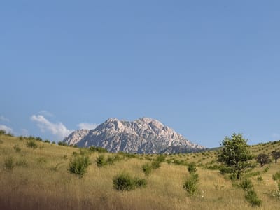 A wide-angle, eye-level shot shows a barren, rocky mountain in the distance, bathed in sunlight and set against a clear, pale blue sky. The mountain's peak is rugged and uneven, with visible fissures and outcrops. In the foreground, a rolling hillside is covered in dry, golden-brown grass and scattered green bushes. A lone, leafy tree stands on the right side of the frame, with a few smaller trees and bushes visible further up the hill. The overall impression is one of a remote, arid landscape. The location is identified as the vicinity of Yangikurgan, Uzbekistan.
