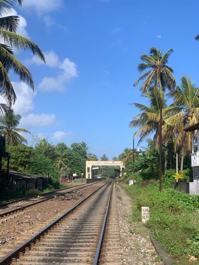 The image depicts a view of a railway line in Kodagoda, Sri Lanka, on a bright, clear day with a few scattered clouds. Lush green vegetation, including numerous palm trees, flanks the railway tracks. In the distance, an elevated structure, possibly a bridge or overpass, spans across the tracks. A signpost on the right side of the tracks indicates "136 Km SLR". The railway line itself appears well-maintained, with ballast stones covering the ground around the sleepers. The scene is tranquil, with no people visible. The overall impression is one of a serene tropical landscape surrounding a functional railway.