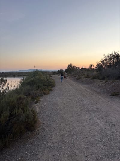 The image shows a dirt path in a natural setting at sunset, likely in Vera, Spain. The path is lined with dry, brushy vegetation on one side, and a body of water reflecting the soft hues of the sky on the other. In the distance, silhouetted against the pastel-colored sky, are rolling hills and what appear to be palm trees, characteristic of a Spanish landscape.
Two figures, a person wearing a blue top and jeans and another in a striped shirt, are walking away from the camera on the path. Their posture suggests a relaxed or leisurely pace, perhaps enjoying the evening air and the scenic view. The time of day is clearly sunset, with the sky transitioning from a pale blue to soft oranges and yellows. The weather appears to be calm and clear.
The overall mood of the image is tranquil and serene, capturing a peaceful moment in nature. The textures of the rough dirt path, the sparse vegetation, and the smooth surface of the water are all visible. There is no visible text in the image.