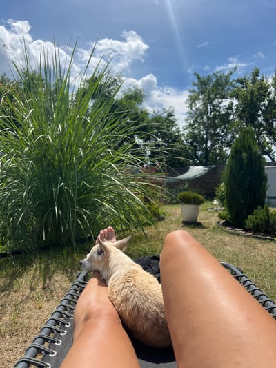 The image depicts a person's legs and a small, light-colored dog resting on them. The scene is outdoors in a grassy yard with a large bush of tall green grass in the foreground. In the background, there are trees, a conical evergreen shrub, a potted plant, and a building, suggesting a residential setting. The sky is bright blue with scattered white clouds, indicating it is daytime and likely sunny. The orientation of the image is vertical. The person's legs are tanned and bare, suggesting warm weather. The dog appears to be relaxed, with its head resting on the person's leg. The overall mood is peaceful and leisurely. No text is visible in the image. The location context is Kulishi, Ukraine.