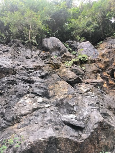 The image depicts a steep, rocky cliff face covered in lush green trees at the top. The rocks are dark gray and brown, with a rough texture and visible cracks and crevices. Small green plants grow in scattered patches on the cliff. The lighting suggests it is daytime, and the overall impression is one of a natural, rugged landscape. The location is specified as the city of Meudheun, Indonesia. No people or specific actions are visible.