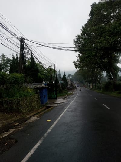The image depicts a wet asphalt road in the city of YonPhoogla, Bhutan, under an overcast sky. The road, featuring a solid white shoulder line on the left and a broken white center line, recedes into the distance. A single individual is observed riding a light-colored scooter or motorcycle in the right lane, moving away from the camera. On the left side of the road, a dark-colored utility pole stands prominently, supporting a dense cluster of overhead electrical or communication wires that span across the upper left quadrant of the frame. Below the wires, a stone retaining wall is partially visible, fronting a dense accumulation of green foliage, including several tall, slender evergreen trees. Behind the vegetation, a small, blue-colored structure with a dark roof is present. A yellow object rests on the wet asphalt near the left shoulder line. The right side of the road is bordered by a line of mature trees with dense green canopies. In the far distance, hills or mountains are partially obscured by atmospheric mist or low clouds, visible beneath the uniformly gray, overcast sky.