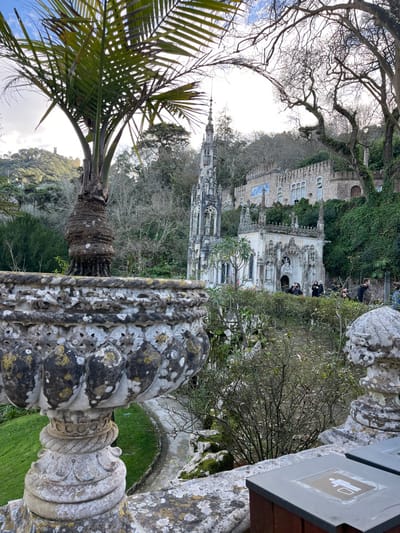 A sideways view showcases Quinta da Regaleira, Portugal, with its distinctive tower. A palm tree occupies the foreground's left, contrasting with the ornate stone pillar on the right. The architecture includes a building clad in greenery, with people visible near its entrance. An overcast sky filters light onto the landscape, which includes a mix of trees and manicured grass.
