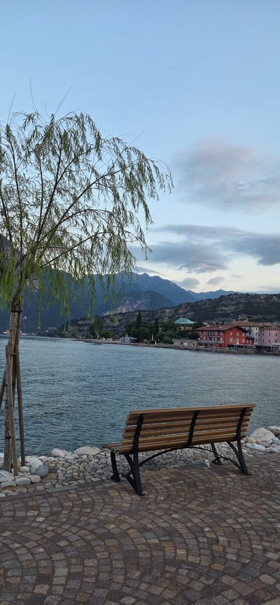 This image depicts a serene lakeside scene in Torbole, Italy. In the foreground, a wooden park bench with a metal frame sits on a cobblestone pathway. To the left of the bench, a young tree with drooping branches is planted next to a shoreline composed of small white and gray stones. Beyond the bench and shoreline lies a wide expanse of calm, blue water, reflecting the overcast sky. In the middle ground, a picturesque town lines the opposite shore, characterized by buildings with red, pink, and white facades. Further in the background, a range of imposing, tree-covered mountains rises, their peaks softened by a hazy sky. The overall atmosphere is tranquil, suggestive of late afternoon or early evening. No people are visible in the frame.