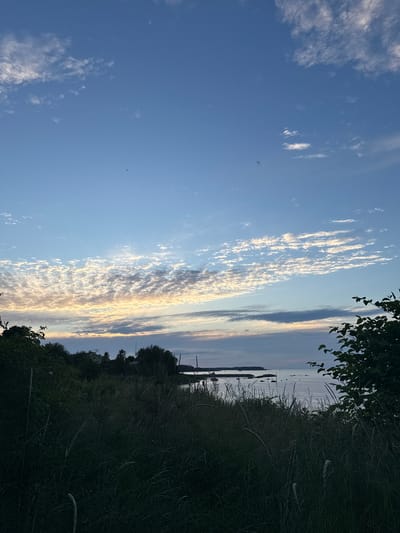 The image depicts a serene evening scene in Rohuneeme, Estonia. A vast expanse of blue sky, dotted with wispy white and golden clouds, dominates the upper portion of the frame. The lower half of the image showcases a body of water, likely the Baltic Sea, with a calm surface reflecting the soft light of the setting sun. In the foreground, tall, dark green grass and foliage partially obscure the view of the water and a distant treeline. Several trees are visible along the coastline, with a few structures and what appear to be masts or poles interspersed among them. The overall impression is one of tranquility and natural beauty at dusk.