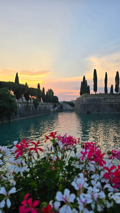 The image shows a serene canal in Peschiera del Garda, Italy, at sunset. The water is a striking turquoise color and reflects the warm hues of the sky, which transitions from a pale yellow near the horizon to a soft blue overhead. Tall, dark cypress trees are silhouetted against the sky along the top of the stone fortifications that line the canal. Some buildings with white walls are visible behind the trees on the left bank, and a few people can be seen strolling along the walkway. In the foreground, a cluster of pink and white geraniums adds a vibrant splash of color to the scene. The overall atmosphere is peaceful and picturesque.