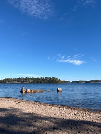 The image displays a coastal scene within the Västervik archipelago, Sweden. The foreground consists of a light brown sandy beach, marked by elongated dark shadows cast from an unseen source to the left. The mid-ground features a calm, dark blue body of water. A single individual, dressed in dark clothing, is partially submerged in the water, standing adjacent to a cluster of naturally occurring rocks that extend horizontally from the left towards the right. Sparse, dried vegetation is visible growing amongst these rocks. Further to the right, a solitary, larger dark rock is partially submerged in the water. The background reveals a horizon lined with multiple tree-covered landmasses, densely forested with dark green coniferous trees, characteristic of the Swedish archipelago. A visible gap between distant landmasses suggests a channel or inlet. The sky above is a clear, bright blue with sparse, wispy white clouds concentrated towards the top and bottom right. The scene is illuminated by direct sunlight, indicating daytime conditions.
