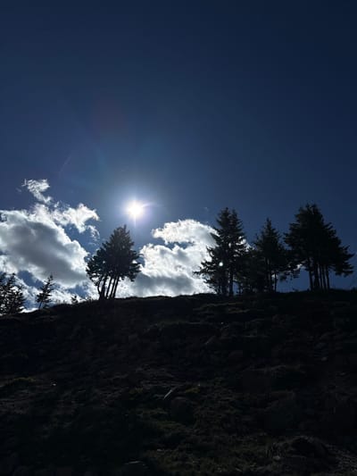 The image depicts a silhouetted landscape featuring a dark, rocky hillside with scattered evergreen trees against a bright, sunlit sky. The sun, a brilliant starburst, is partially obscured by white, wispy clouds, casting lens flare across the upper right quadrant of the image. The trees are densely packed on the crest of the hill, their dark forms stark against the luminous sky. The foreground consists of the dark, uneven slope of the hill, with visible rocks and sparse vegetation. There are no people or animals visible in the scene. The location is not Gela, Bulgaria, but rather a natural landscape.
