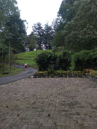 The image presents a serene outdoor scene, likely an entrance to a park or natural reserve in Bijanwada, India. In the foreground, a large, rectangular area paved with grey brick pavers arranged in a herringbone pattern serves as a parking or gathering space. This paved area is bordered by a low curb constructed from alternating light and dark grey rectangular stones.
Beyond the paved foreground, a winding asphalt road ascends uphill and curves gently to the left, disappearing into the lush green landscape. A single person, dressed in light-colored attire, is seen riding a red scooter up this road, moving away from the viewer. To the left of the road, a street light stands tall.
Dominating the mid-ground on the right is a large, dense hedge of dark green bushes, which incorporates a carved sign. The word "Taman" is clearly visible within the foliage, with additional text, possibly "WANNA," partially obscured beneath it. This sign is nestled within a bed of various green and reddish plants. The immediate surroundings of the road and sign are characterized by well-maintained grassy slopes and abundant foliage.
The background is filled with a dense canopy of tall trees, including both broadleaf and coniferous types, suggesting a forested or heavily vegetated area. The sky above is bright but appears overcast, indicating soft, diffused lighting and possibly a cloudy day. The overall scene conveys a sense of natural beauty and tranquility.
