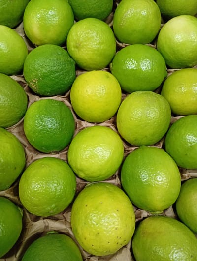The image provides a top-down, close-up view of numerous fresh limes arranged in rows within a container, likely for transport or display. The scene is filled with these citrus fruits, each separated by crumpled pieces of light brown or beige paper acting as dividers.
The limes exhibit a spectrum of green and yellowish-green colors, suggesting varying degrees of ripeness or different varieties. Some are a vibrant, deep green, while others appear lighter, almost yellow-green. The skins are generally smooth but show a subtle, natural texture, and a few limes have minor brown blemishes or spots. The overall impression is one of fresh produce.
No people are visible, and no specific activity or event is taking place beyond the static arrangement of the fruit. The lighting appears even and diffused, without harsh shadows, indicating an indoor setting or overcast conditions. There is no visible text. The setting is likely a market stall, grocery store, or a packaging area for agricultural products in Kabile, Bulgaria.