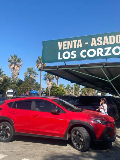 The image shows a red Subaru Crosstrek parked in an outdoor lot on a sunny day. A green sign with white text reads "VENTA - ASADO LOS CORZO". In the background, several palm trees are visible, along with other parked cars and a blue truck. A woman in a pink shirt and blue jeans is standing near a dark-colored SUV to the right of the red car. The scene appears to be in Pol. Ind. La Palmosa, Spain, as indicated by the sign, which suggests a commercial area or business.