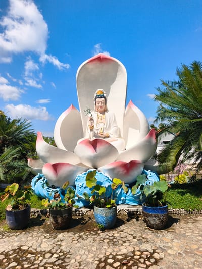 A large statue of a woman in white robes sits in a white lotus flower on a bright, sunny day. The statue is surrounded by lush green palm trees and potted lotus plants. The ground is paved with large, irregularly shaped stones. The sky is a clear blue with fluffy white clouds. The statue is the central focus of the image, with the lotus flower serving as a pedestal. The statue is serene and appears to be holding a small branch in its right hand. The scene conveys a sense of peace and tranquility. The statue is located at the Tuy An Nam temple in Tuy An, Vietnam.