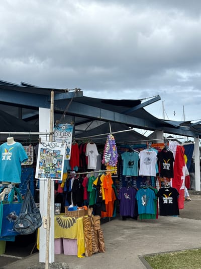 The image presents an outdoor market stall at Port Moselle Market in Noumea, France, under an overcast sky.
In the foreground, a display of various merchandise is visible. Numerous t-shirts in a range of colors including blue, red, orange, green, purple, and black, featuring different designs (some with "KANAKING NK" branding), hang from metal racks. A light blue t-shirt is showcased on a mannequin head on the far left. Adjacent to it, a denim shoulder bag and a blue tote bag are suspended. A vertical pole supports a sign reading "STICKERS," beneath which a poster displays a collage of sticker designs. A multicolored garland, primarily purple, pink, and yellow, hangs centrally amongst the clothing. To the right, a table draped with a yellow fabric featuring a dark sunburst pattern holds a woven basket and two carved wooden mask-like figures. A red and white flag is also displayed vertically on the far right.
The midground features the market's infrastructure, consisting of dark blue metal beams supporting black canvas awnings that provide shade. The ground is a combination of grey concrete paving and a strip of green grass on the right side.
In the background, the masts of several sailboats are visible, indicating a marina or port environment. The sky is uniformly grey and cloudy. Two small birds are discernible flying in the distant sky. One individual, seen from behind and partially obscured on the far right, is walking away from the market stall, wearing a light-colored top, a red lower garment, and carrying a light-colored shoulder bag.