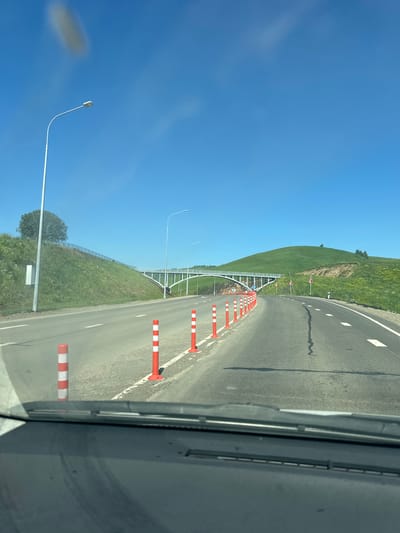 The image depicts a view from inside a vehicle traveling on a road in the vicinity of Altaiskoe, Russia. The road is paved and marked with white lines. A series of orange and white traffic cones are lined up on the right side of the road, suggesting a lane closure or construction. The road curves to the right, leading towards a white bridge spanning across a landscape of rolling green hills. A tall street light is visible on the left side of the road, near a grassy embankment topped with a fence and a lone tree. The sky is clear and blue. The foreground of the image shows the interior of the vehicle, including the dashboard and windshield.