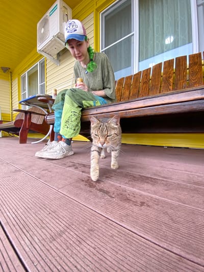 The image depicts a person sitting on a wooden bench on a wooden porch. The person is wearing a green t-shirt, colorful patterned pants, white sneakers, and a baseball cap. They are holding a small cup. A tabby cat is walking towards the camera on the porch. In the background, there is a yellow building with windows and an air conditioning unit. The porch has wooden decking and is lined with wooden planks. The location is the city of Mayak, Russia.