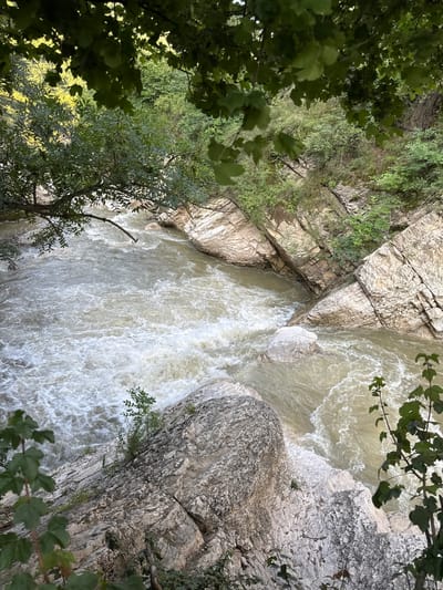 The image captures a view of a turbulent river flowing through a rocky gorge, framed by lush green foliage. The water is a muddy brown and churns with white rapids, indicating a strong current. Sheer rock faces, layered and textured, rise on either side of the river. Vegetation, including trees and smaller plants, grows in crevices and along the edges of the rocks, as well as hanging from branches that overhang the water. The scene is natural and appears to be an outdoor, wilderness setting. There are no people or man-made structures visible. The location is identified as Khuchni, Russia, suggesting this is a natural landscape in that region.