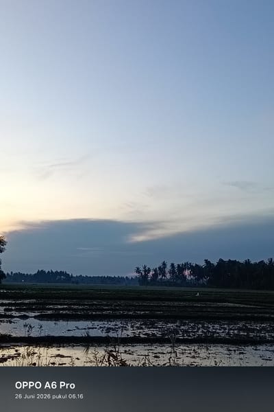The image depicts a serene rural landscape at dawn in Blangkutacoh, Indonesia. The scene is dominated by a vast expanse of sky, transitioning from a pale blue at the top to a soft yellow and grey near the horizon, suggesting the early moments of sunrise. Wispy clouds are scattered across the sky, catching the nascent light.
Below the sky lies a cultivated field, likely rice paddies, with the waterlogged ground reflecting the muted colors of the sky. The field is bordered by a dense line of palm trees and other tropical foliage, silhouetted against the horizon. The darkness of the vegetation emphasizes the low light conditions of early morning.
In the foreground, the water in the fields creates a mirror-like surface, reflecting the sky and the dark, tilled earth. Sparse vegetation pokes through the water, adding texture to the scene. A small, white bird is visible standing in the field amidst the trees, a solitary element in the expansive landscape.
The overall mood is peaceful and tranquil, characteristic of the quiet hours before the start of the day in a rural setting. The time of day is indicated by the soft light and the information at the bottom of the image.
Visible text overlay at the bottom of the image reads "OPPO A6 Pro" followed by "26 Juni 2026 pukul 06.16", which translates to "26 June 2026 at 06:16". This indicates the device used to capture the photo and the date and time it was taken.