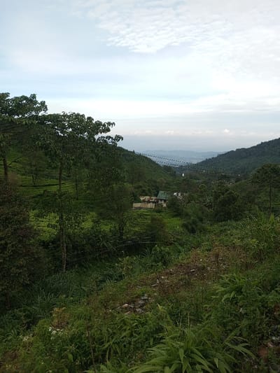 Lush green valley with dense vegetation and scattered trees. A cluster of buildings nestled amidst the greenery in the mid-ground. Rolling hills rise on either side, converging towards a distant horizon obscured by a hazy sky with streaks of clouds. Power lines are visible crossing the valley. The foreground is dominated by overgrown foliage, suggesting a wild and untamed landscape.
