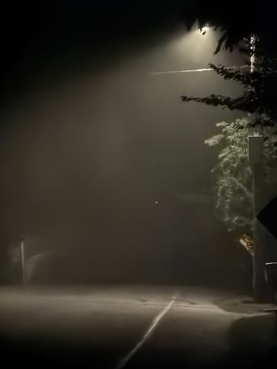 A street light illuminates a misty road in Hampton Bays, United States of America. The light casts a bright beam through the fog, creating an ethereal glow. Trees line the side of the road, their branches silhouetted against the light. The road itself is wet and reflects the ambient light, with a white line marking the center. The overall atmosphere is one of quiet and mystery, with the fog obscuring the surroundings and creating a sense of isolation.