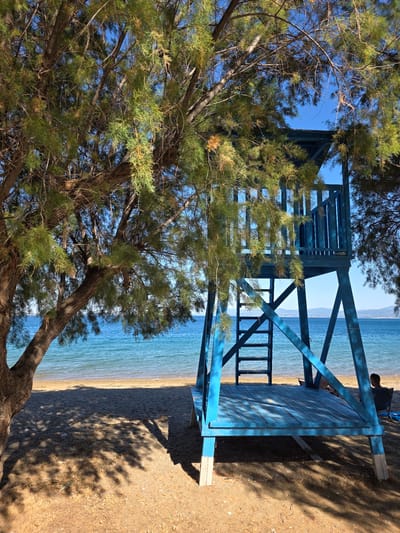 A brightly lit, eye-level shot captures a vibrant blue lifeguard stand on a sandy beach in Vasiliko, Greece. The stand, constructed of wood, is situated beneath the sprawling branches of a mature tree whose leaves cast dappled shadows across the sand. The ocean, a tranquil expanse of blue, forms the backdrop, meeting the shore in a gentle curve. In the distance, a hazy coastline with faint mountains is visible. On the lower platform of the lifeguard stand, a solitary figure sits in a dark chair, their back to the camera, facing the sea. The overall atmosphere is serene and inviting, suggesting a peaceful day at the beach.