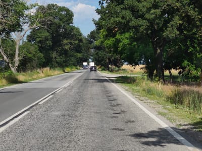 The image shows a view from a vehicle driving on a two-lane asphalt road through a rural area. The road is lined with lush green trees on both sides, with a golden field visible in the distance on the right. The sky is partly cloudy, suggesting a pleasant day, likely in the late morning or afternoon.
In the distance, several vehicles are visible on the road. Two white trucks are ahead, followed by a dark-colored car. The road surface shows some signs of wear, with darker patches indicating repairs or water. The verge on the right side of the road is covered in tall grass and wildflowers. The overall scene evokes a sense of journey and the peacefulness of the Bulgarian countryside. There is no visible text in the image.