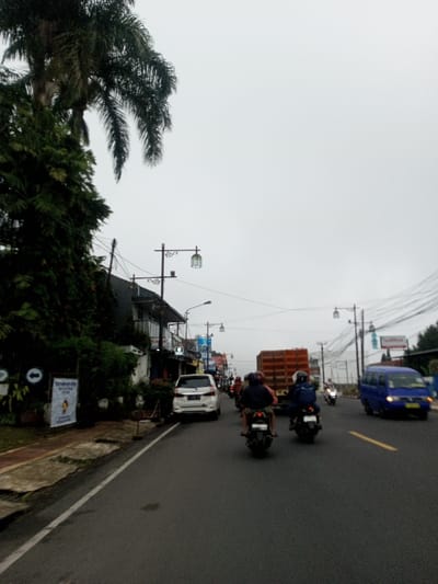The image depicts a street scene in Chagzam_Pam, Bhutan, under an overcast sky. A two-lane asphalt road extends into the distance, delineated by a solid white line on the left and a yellow dashed line centrally. On the left, dense foliage, including a prominent palm tree, borders a sidewalk where a white SUV is visible, possibly parked. Two helmeted individuals on motorcycles are positioned in the midground, moving away from the viewer. Behind them, a large, rectangular brown cargo truck occupies the lane. A blue van is visible on the right side of the road. Decorative streetlights with lantern-style fixtures are spaced along both sides of the road, accompanied by utility poles and overhead wiring on the right. Buildings, some with balconies, are visible behind the trees on the left. Street signs are present on the left sidewalk, including one with a "P" and a right-pointing arrow.