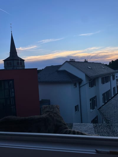 An outdoor, eye-level, medium shot captures a dusky sky above a European town. The sky, transitioning from deep blue to lighter shades, features wispy white clouds tinged with orange and yellow from the setting sun. A tall, dark church steeple with a weather vane stands prominently on the left side of the frame, silhouetted against the sky. Adjacent to it, a modern, dark red building juts into the foreground. Beyond these structures, a light-colored, multi-story building with a dark, tiled roof and numerous windows is visible. Another building with a dark, sloped roof is partially seen to the right.
In the foreground, a cat with tabby markings is perched on a patterned surface, facing away from the camera and looking towards the buildings and the sky. The cat's tail is extended along the surface. The scene is framed by a light-colored windowsill in the lower portion of the image. The overall atmosphere suggests an evening view from a window overlooking the town of Waldbröl, Germany.