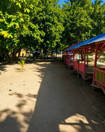 The image depicts an outdoor scene in Silaiyajae, Indonesia, characterized by a sandy path lined with trees and small, colorful structures. On the right side of the path, a row of open-air shelters with pink and blue roofs and bright pink railings stands prominently. These structures appear to be made of wood and are elevated on stilts, suggesting they might be used for seating or as small stalls.
The left side of the path is dominated by the lush green canopy of large trees, casting dappled shadows on the sandy ground. A small, newly planted palm tree is visible in the foreground on the left, adding a touch of tropical vegetation. The ground is a mix of sand and scattered pebbles. In the background, further down the path, more shelters can be seen, some with blue roofs, and a few figures are present, though their details are not clear. The overall impression is of a relaxed, possibly recreational area, with the bright colors of the shelters contrasting with the natural greenery and sandy terrain. The sunlight suggests it is daytime.