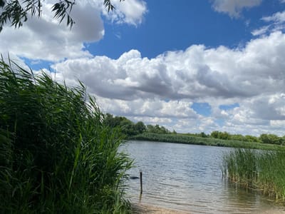 This is an outdoor, eye-level, medium shot of a lake on a cloudy day. The foreground is dominated by tall, green reeds on the left and right sides of the frame, with a patch of gravelly shore in the center. A wooden post with a metal ring protrudes from the shallow water near the shore. The lake itself is calm, with ripples on the surface reflecting the blue sky and white clouds. In the background, a dense line of trees and reeds runs along the opposite bank of the lake, with more trees and distant hills visible further back. The sky is a vibrant blue with numerous puffy white clouds. There are no people or animals visible in the scene. The image depicts a natural landscape, possibly a park or recreational area in Voznesensk, Ukraine, characterized by its water body and surrounding vegetation under a dynamic sky.