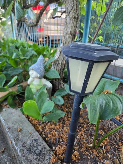 In a garden setting, likely in the city of Marinka, Bulgaria, a small, ceramic gnome figurine with a blue pointed hat and green overalls is positioned amongst lush green foliage. To the right of the gnome, a solar-powered garden lamp stands on a black pole, its light housing a pale yellow, ribbed panel. The ground around the lamp and gnome is covered in dark soil interspersed with a layer of dry, reddish-brown organic matter. A rough, gray concrete border runs along the left side of the frame, partially obscured by the plants. In the background, a tree trunk with textured bark is visible, and beyond that, a blurry blue metal fence encloses the garden. Behind the fence, a vehicle with red taillights can be faintly discerned, suggesting proximity to a street or driveway. The overall scene depicts a tranquil, outdoor space with decorative elements and natural vegetation.