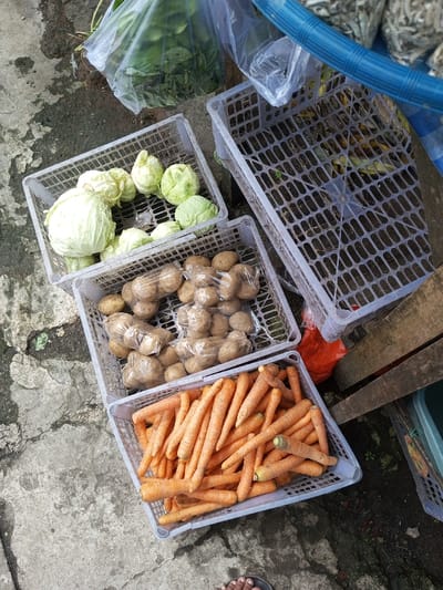 In the city of Taohom, Laos, an overhead view captures an outdoor market display of vegetables arranged in multiple light-grey plastic crates on a grey, cracked concrete or paved surface.
The scene features:
* **Top-left crate:** Contains numerous light green and white heads of cabbage.
* **Middle-left crate:** Holds a quantity of brown potatoes, some individually bagged in clear plastic, others loose.
* **Bottom-left crate:** Filled with unpeeled orange carrots.
* **Top-right crate:** Appears largely empty but contains a few light-colored, possibly green/yellow small fruits or vegetables within its grid pattern.
* **Surrounding objects:** A clear plastic bag filled with dark green leafy vegetables is visible in the upper-left. Another partially visible clear plastic bag is near the top-right crate. A segment of a blue plastic hose or pipe runs across the upper-right. Below the top-right crate, a red plastic bag is visible, along with two wooden planks. A corner of a dark blue-green plastic container is present on the far right.
* **Human presence:** The toes of two human feet, clad in dark open-toed sandals, are visible at the bottom-center of the frame, indicating an individual standing near the display.