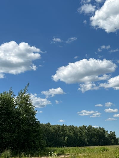 This media file captures a serene outdoor scene under a bright blue sky dotted with fluffy white clouds. The primary subjects are the sky, clouds, a dense line of trees, and a grassy area. The perspective is from a low angle, looking upwards and to the side, creating a sense of expansive space.

The scene appears to be set in a rural or semi-rural environment, possibly a field or the edge of a forest. The presence of lush green trees and a grassy verge suggests a natural landscape. The bright sky and distinct clouds indicate daytime, likely late morning or early afternoon, with fair weather. There are no people or specific objects that would suggest an activity or event; the focus is purely on the natural elements.

Notable details include the texture and formation of the clouds, which vary from thin wisps to larger, more substantial cumulus clouds. The trees form a dark green, textured backdrop, creating a strong contrast with the bright sky. The grassy area on the right side of the frame shows signs of wildflowers, adding a touch of color and detail to the foreground. The overall mood is peaceful and tranquil, reflecting a calm, pleasant day. There is no visible text in the image. Given the provided location context, this scene could be representative of the landscape in Lukovnya, Russia.