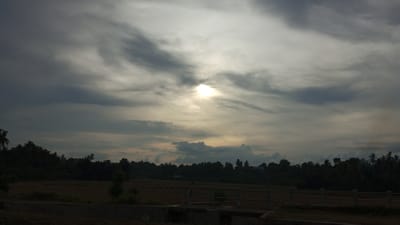 The image captures a rural landscape in Uteunreutoh, Indonesia, under an overcast sky. A bright sunbeam pierces through the dense clouds, illuminating a portion of the sky with a yellowish glow. The foreground features a dark, low-lying area that appears to be a field, possibly used for agriculture, with a concrete barrier and a simple railing structure. Beyond the field, a dense line of dark green trees, including numerous palm trees, forms a natural boundary. A few scattered, small structures are visible within the treeline, suggesting a small settlement. The overall atmosphere is dim, indicating either early morning or late afternoon light. No people are discernible in the image.