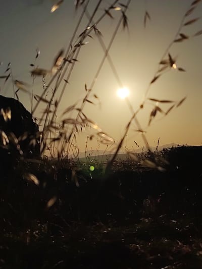 The image depicts a natural scene at dusk or dawn, with the sun visible as a bright orb in the sky, partially obscured by blades of grass. The foreground is dominated by dark, out-of-focus vegetation, suggesting a field or natural area. In the background, rolling hills are silhouetted against the light sky. On the left side of the image, a dark, indistinct shape could be a rock formation or a hillside. The overall atmosphere is serene and natural, with a focus on the interplay of light and shadow. The location is identified as Ledrada, Spain, implying this landscape is representative of the rural surroundings of the town.