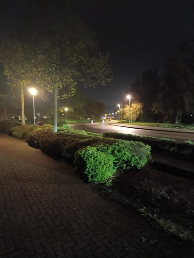 This is a photograph taken at night in Emmerich on the Rhine, Germany. The scene depicts a paved sidewalk bordered by trimmed bushes and trees illuminated by streetlights. A road curves into the distance, with streetlights lining its edge and a vehicle's headlights visible. The background features darker trees and foliage against a night sky. The composition suggests a quiet, suburban street environment.