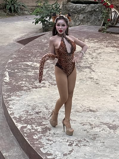 A person dressed in a leopard print one-piece swimsuit, complete with a leopard print tail and cat ears, stands on a circular stage in what appears to be an outdoor venue in Nong Prue, Thailand. The individual is wearing high-heeled platform shoes and has heavy makeup with bright red lipstick. In the background, there are lush green plants, a stone structure that resembles a well or fountain, and a rustic wooden cart decorated with red flowers. The stage surface is a textured, possibly concrete, material with patches of white and brown. The lighting suggests daytime.