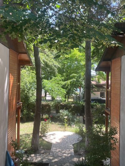 The image depicts a view looking out from between two wooden buildings in Durankulak, Bulgaria. The foreground is dominated by the wooden facades of the buildings, one on the left and one on the right, with their respective angled wooden roofs visible. Between the buildings, two large tree trunks rise, their branches laden with green leaves, casting dappled sunlight on the scene below. A paved pathway, made of irregularly shaped stones, winds through a garden area. Lush green foliage, including bushes, trees, and some flowering plants with red and pink blossoms, fills the middle ground and extends towards the background. In the distance, more trees and buildings can be seen, with a hint of blue sky peeking through the leaves. The environment appears to be a residential or resort area, possibly a courtyard or garden path between bungalows. There are no people visible in the image.