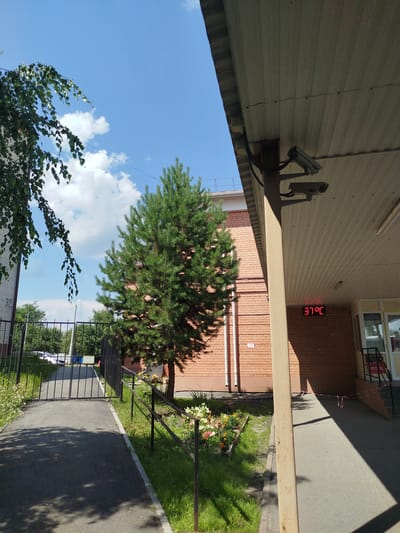 The image captures an outdoor scene on a sunny day, likely in Yalutorovsk, Russia. In the foreground, a paved walkway leads towards a closed metal gate, flanked by green grass and a flower bed. To the right, a brick building is visible, with a covered walkway extending from it. Two security cameras are mounted under the covered walkway, and a digital thermometer displays "37°C". A tall pine tree stands to the left of the building, and foliage from another tree hangs over the top left corner of the image. The sky is blue with scattered white clouds. There are no people or animals visible in the frame.