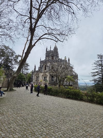 An exterior long shot depicts the ornate Quinta da Regaleira Palace in Sintra, specifically within the parishes of Santa Maria e São Miguel, São Martinho e São Pedro de Penaferrim, Portugal. The main subject is the multi-story palace, characterized by intricate Gothic-revival and Manueline architectural elements including spires, pinnacles, and highly detailed stonework, dominating the right-center of the frame under an overcast, light grey sky.
In the foreground, a wide pathway constructed of grey cobblestones (calçada portuguesa) extends from the bottom of the frame towards the left and the palace. Several individuals are present on this path: approximately ten people are distributed across the midground. Most are walking, dressed in casual, dark clothing. One person is seated on a low structure on the far left. No clear interactions between individuals are discernible.
To the left, a large, deciduous tree with bare, dark branches extends diagonally upwards, partially framing the upper left quadrant against the sky. Further left, hints of another stone structure and green foliage are visible. Along the right side of the cobblestone path, a neatly trimmed line of green bushes forms a low hedge, beyond which a distant, hazy landscape with buildings and hills is visible under the cloudy sky. Evergreen trees are present on the far right, partially obscuring the distant view. The overall lighting is diffuse, indicative of an overcast day.