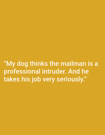 The image is a plain, mustard-yellow background with white text. The text reads: "My dog thinks the mailman is a professional intruder. And he takes his job very seriously." The image does not contain any people, subjects, objects, actions, interactions, or environment details that can be used to determine a location in Kępno, Poland.