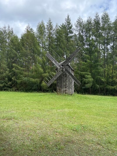 An old wooden windmill stands in a grassy field, facing the viewer. It has four large sails, constructed from wooden planks, positioned in an 'X' shape. The windmill itself is a rustic, weathered structure made of vertical wooden planks. Behind the windmill, a dense forest of evergreen trees, likely conifers, forms a backdrop. The sky above is overcast with grey clouds. The field in front of the windmill is covered in green grass, with some patches of bare earth and scattered fallen leaves. The overall scene evokes a rural, historical setting. The location is identified as Sielachowskie, Poland. There are no people visible in the image.