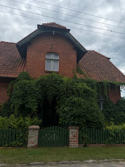 A red brick house with a terracotta-tiled roof is depicted under an overcast sky in Wojnowo, Poland. The two-story structure features a prominent central gable with ornate dark green trim, below which a white-framed, multi-pane window is centrally located. Extensive green vine foliage, likely ivy, covers much of the facade, forming a dense archway over a darkened entrance area on the ground floor. A portion of a second white-framed window is visible to the right, also partially obscured by vines. In the foreground, a low green picket fence with two brick pillars stands on a grassy lawn. A paved surface, indicative of a road or sidewalk, is visible at the very bottom. Overhead, multiple power lines stretch across the frame, with a small bird perched on one line to the upper right. No individuals are present. A small, dark object is indistinctly visible on the ground near the base of the fence on the right.