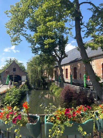 The image depicts a waterside scene in Cambron-Casteau, Belgium, likely at a restaurant or cafe. In the foreground, several green planters hold a variety of flowering plants, including red and purple petunias and yellow calibrachoa. A wooden railing separates the planters from a dark body of water, which reflects the surrounding greenery and the blue sky with scattered clouds.

To the left of the water, a red brick building with a gabled roof houses what appears to be "LE MOULIN" as indicated by signage. This building has an open archway, and green umbrellas are visible outside. A person in a white shirt and dark shorts is standing on the paved area in front of the building.

To the right of the water, a long, red brick building with a dark grey tiled roof runs parallel to the waterway. This building features red-framed windows and a row of outdoor seating with tables and closed green umbrellas. A wooden fence with vertical posts and horizontal railings runs along the water's edge in front of this building.

Large trees with lush green foliage dominate the upper and middle sections of the image, casting shadows on the buildings and the water. One prominent tree on the right has a thick, textured trunk and branches that extend across the frame. The overall environment suggests a pleasant outdoor setting on a sunny day.