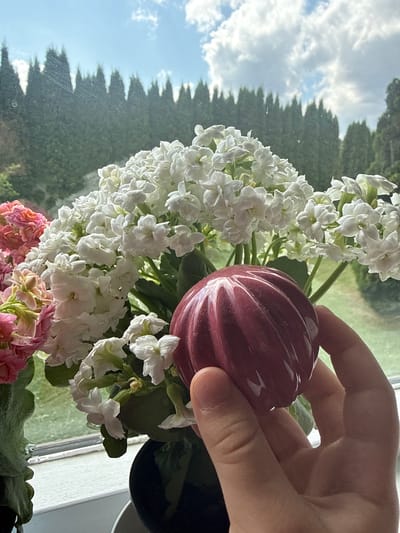The image displays a close-up of a hand holding a small, ribbed, dark pink object in front of a window. Beyond the window, a dense line of dark green trees is visible against a bright blue sky with scattered white clouds. In the foreground, a bouquet of white and pink flowers with green leaves is arranged in a dark pot on a white windowsill. The lighting suggests it is daytime, likely morning or afternoon, with natural light streaming through the window. The scene appears to be indoors, with the window providing a view of an outdoor environment. The hand holding the object is lightly tanned and has visible fingerprints. There is no specific indication of the location in Ridabu, Norway.