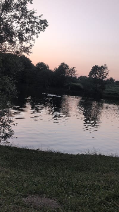 This is a vertical, eye-level shot of a river at dusk in Appen, Germany. The sky is a soft gradient of pink and pale blue, with no visible sun. Silhouetted trees line the opposite bank of the river, creating a dark, dense barrier. The river's surface is rippled, with gentle waves reflecting the soft colors of the sky and the dark treeline. In the foreground, a grassy bank slopes down to the water, with scattered dry leaves and patches of exposed earth. The overall scene is peaceful and serene, with a focus on natural elements and the quiet beauty of twilight.