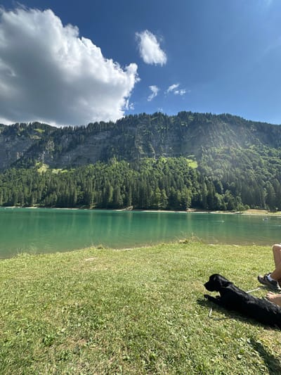 The image depicts a detailed outdoor scene at Lac de Montriond in Montriond, France, observed on a clear, sunny day with scattered cumulus clouds. In the immediate foreground, a patch of green grass occupies the lower section of the frame. A black dog, consistent with a Labrador Retriever, is positioned prone on the grass, facing left towards the water. Adjacent to the dog on the right, the lower legs and feet of a human subject are visible, wearing grey athletic shoes. The midground is dominated by the turquoise-colored water of Lac de Montriond, with several indistinct shapes on its surface, suggestive of small watercraft and human figures engaging in recreational activity. The background features a steep, high mountain range densely covered with dark green coniferous trees, exhibiting exposed rock formations and variations in green vegetation. The sky above is blue with bright white clouds, and direct sunlight illuminates the entire scene.