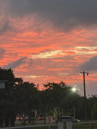 The image captures a vibrant sunset over Cancún, Mexico. The sky is dominated by fiery orange and pink clouds, interspersed with streaks of darker grey. In the foreground, silhouetted trees line the street, their leaves dark against the dramatic sky. A streetlamp with a bright light stands tall on the right side of the frame, its pole dark and casting a glow. A silver car is visible driving on the road, its headlights on. Several utility boxes are placed along the roadside. The overall scene conveys the serene beauty of a sunset in a tropical urban setting.