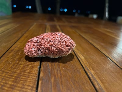 A close-up, low-angle shot focuses on a single piece of coral, roughly the size of a fist, resting on a wooden table. The coral is a light reddish-pink hue with a porous, honeycomb-like texture. Small white specks are scattered on the coral and the table surface. The table itself is made of wooden planks with a visible grain. In the background, the scene is blurred and dark, with several out-of-focus blue lights suggesting distant illumination, possibly from streetlights or buildings. The overall environment appears to be outdoors at night. The specific location of Legonipah, Indonesia, is not evident from the visual information provided in the image.